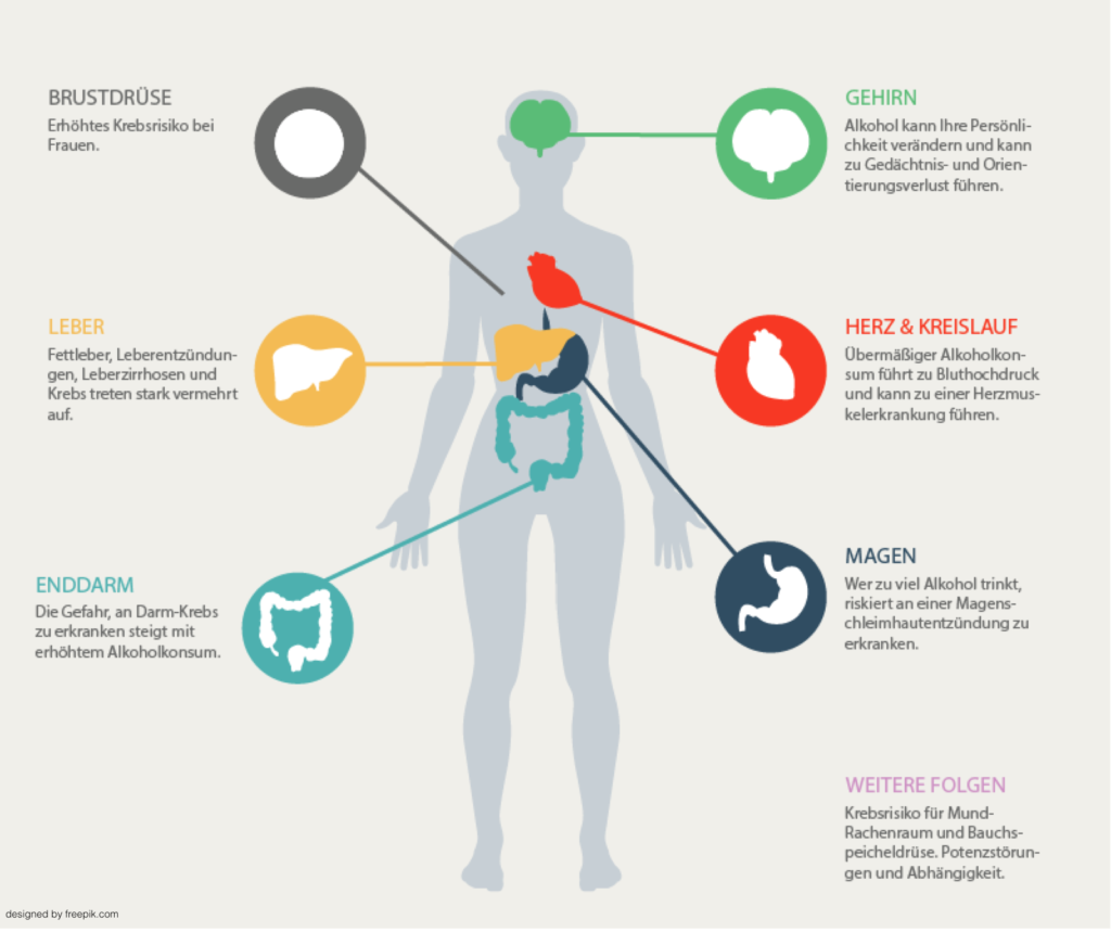 Ein Abbild mit einem Körper. Es werden die Auswirkungen im Falle von überhöhtem Alkoholkonsum von verschiedenen Organen dargestellt. 