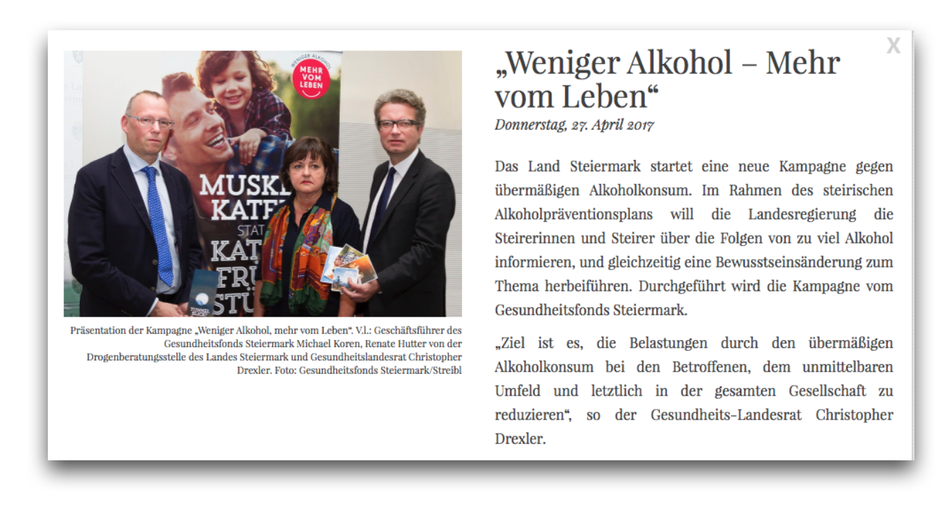 Screenshot des Zeitungsartikels 