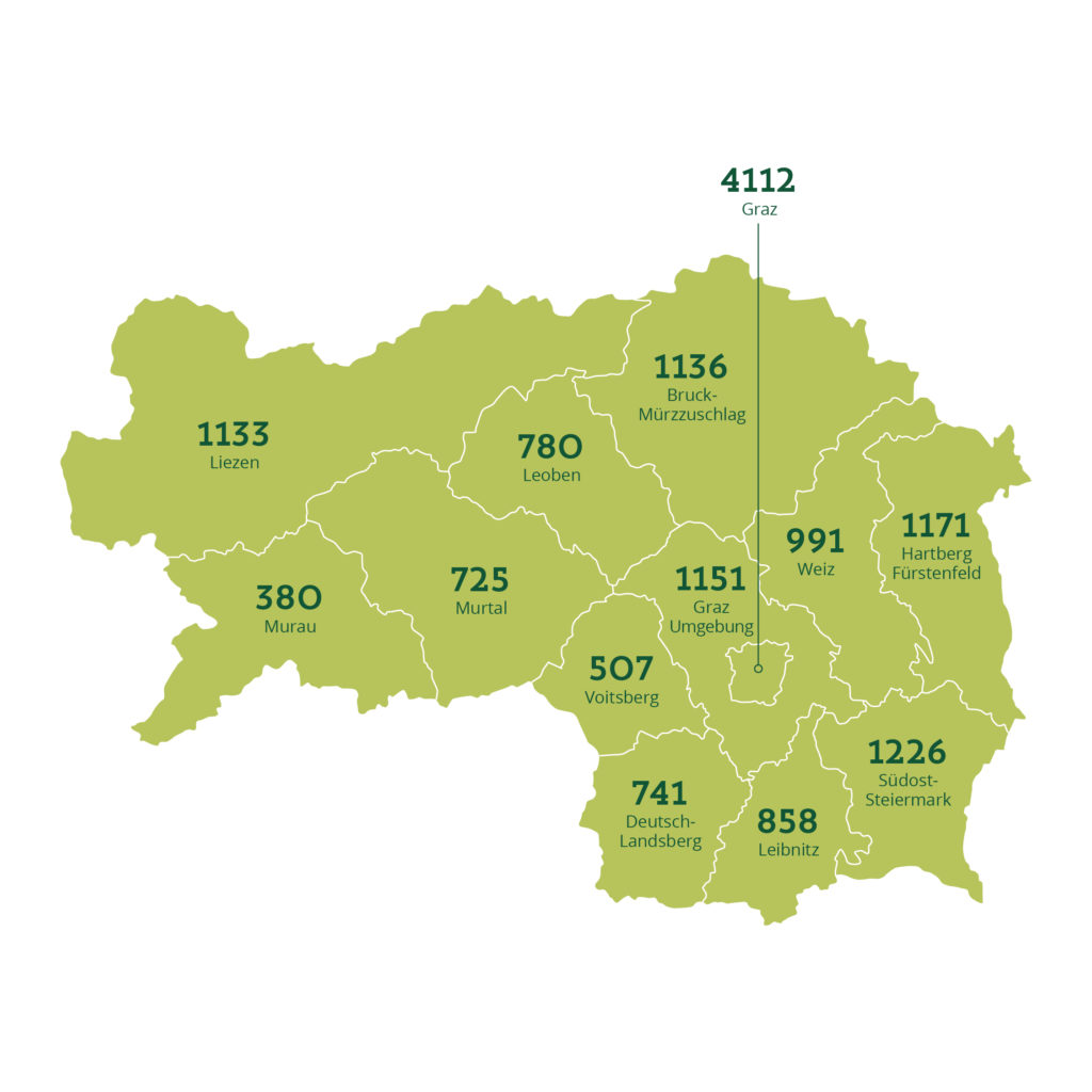 Eine Karte von der Steiermark mit der Anzahl an Vereinen pro Bezirk