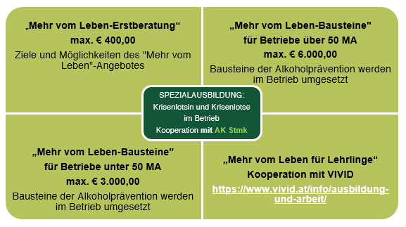 Abbildung der Bausteine der Betriebsförderung